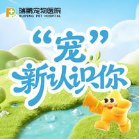 宠新认识你-瑞鹏南京龙江专属 宠新·识内脏